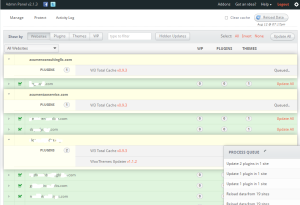 Our WordPress Management Control Panel